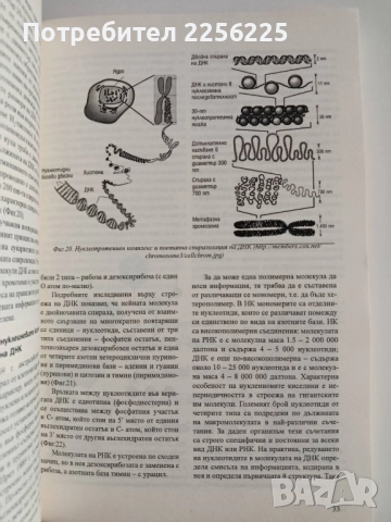 Генетика с биологични основи на поведението и психогенетиката, снимка 6 - Специализирана литература - 52168310