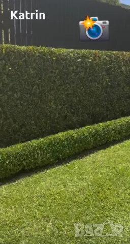 Озеленяване/ Поддръжка , снимка 3 - Други услуги - 48863308