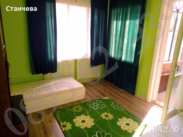 Стая до Общината