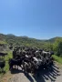 Продавам стадо кози, снимка 2