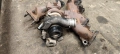 Турбина 897185-2412 Opel Astra 1.7-75к.с.Y17DT - 220лв, снимка 2