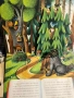 Много рядка 1961 Pop up книга с илюстрация от известната европейска приказка "Червената шапчица"., снимка 4