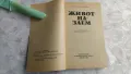 Живот назаем-Ерих Мария Ремарк, снимка 2