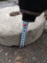 Камъни за точило подходящ за заточване на брадви и ножове, снимка 2