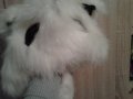 Бяла Зимна Шапка Анимал с очички и ушички, снимка 4