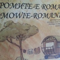  Ромите / Изследване сред циганското население от ЦК БКП/ Ромските медии в Б-ия/Педагогическа игрова, снимка 2 - Специализирана литература - 30181797
