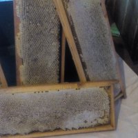 Изградени пчелни пити, снимка 9 - За пчели - 24401317