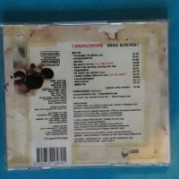 T.Raumschmiere – 2003 - Radio Blackout(Electro,Industrial,Techno,Hip Hop), снимка 6 - CD дискове - 43743955