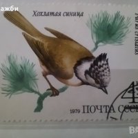 Красива антична колекция пощенски марки с птици от 1979 г., снимка 3 - Филателия - 43415035