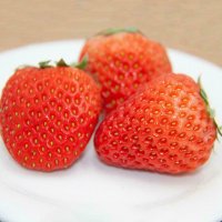 100 гигантски ягодови семена от плод ягода ягоди органични плодови ягодови семена от вкусни ягоди от, снимка 12 - Сортови семена и луковици - 27610133