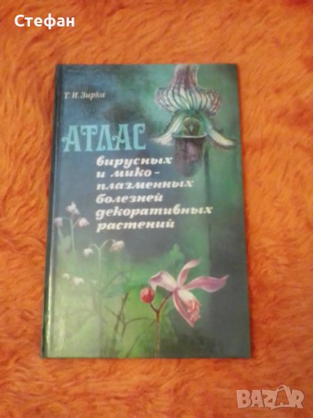 Атлас вирусньх и микоплаьменьх болезней декоративньх растения, Т.И.Зирка, снимка 1