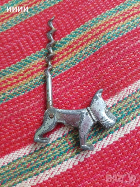 Тирбушон куче , снимка 1