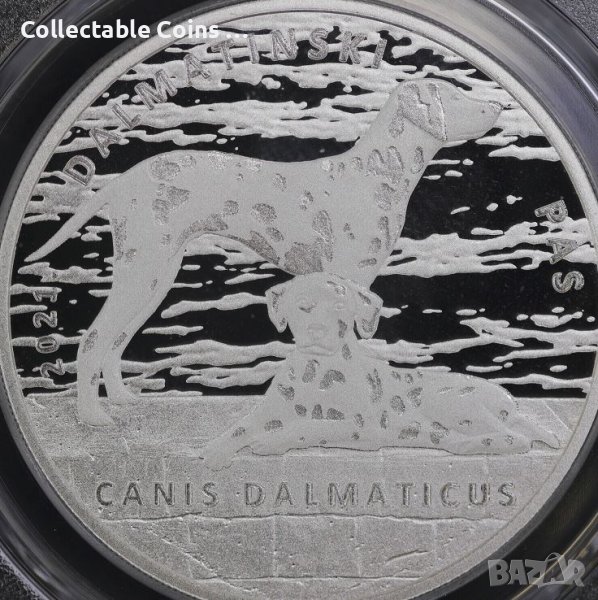 инвестиционно сребро 1 унция Далматинец 2021, снимка 1