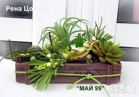 Сукуленти и тиландсия в дървено сандъче, снимка 1