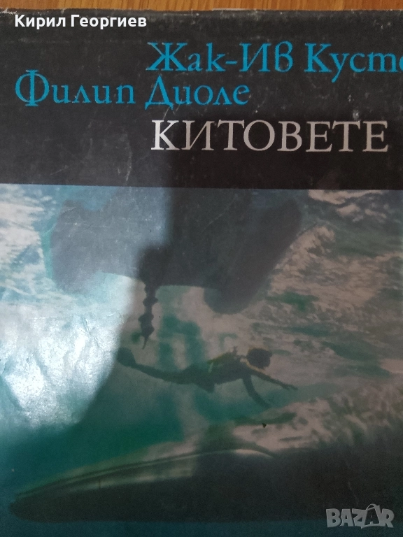 Китовете, снимка 1