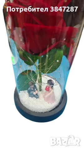 Вечна роза в стъкленица с LED осветление и влюбени фигурки