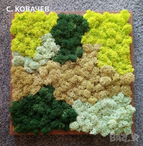 Уникални, модерни,свежи живи картини от естествен мъх.Градина в дома, снимка 13 - Декорация за дома - 19336040