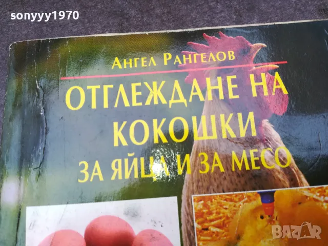 КОКОШКИ 1002250746, снимка 6 - Други - 49049884