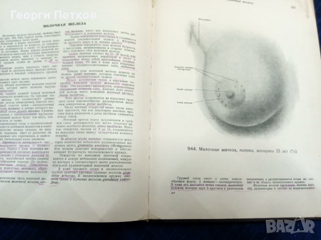 Атлас анатомии человека, снимка 10 - Антикварни и старинни предмети - 43818672