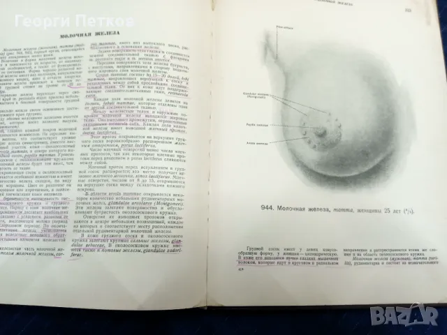 Атлас анатомии человека -1947 год. , снимка 10 - Чуждоезиково обучение, речници - 49738944