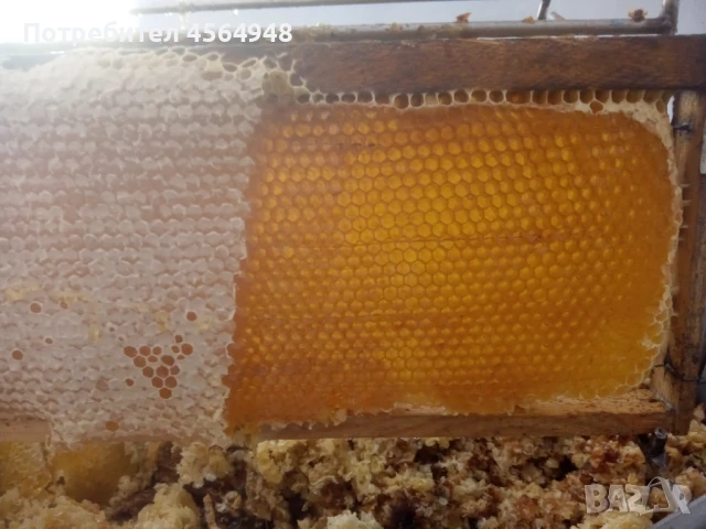 Пчелен мед от Странджа 7,00 лева за 1 килограм в буркан , снимка 10 - За пчели - 51369721
