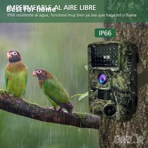 Ловна камера висок клас HAZA PR800 -58MP+ КАРТА SD 32 GB, снимка 3 - Оборудване и аксесоари за оръжия - 47443455