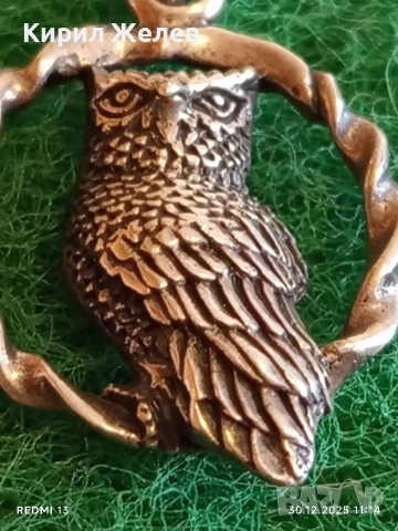 Модерен дизайн сребърна висулка БУХАЛ в ВЕНЕЦ символизира мъдрост и знание 52544, снимка 3 - Колиета, медальони, синджири - 52934443