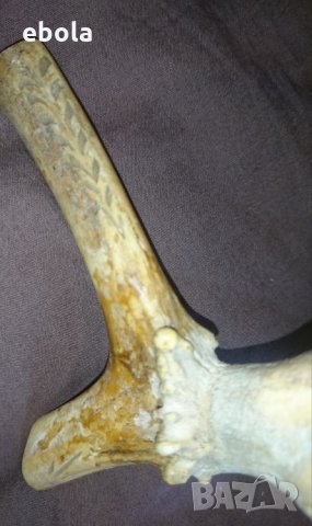 Северен елен, снимка 13 - Ловно оръжие - 28423687