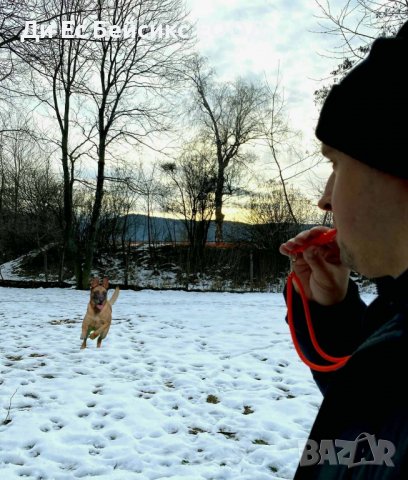 Свирка за обучение на куче / Подходяща и за ловджийско куче, снимка 4 - За кучета - 38150893