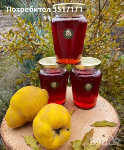 Желе от дюли