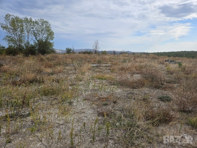 Парцел/Земя под наем, снимка 4 - Земеделска земя - 51864475