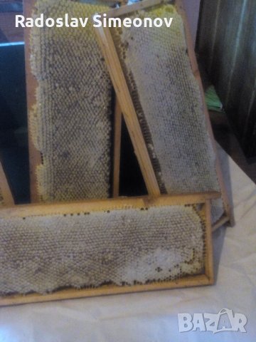 Изградени пчелни пити, снимка 9 - За пчели - 24401317