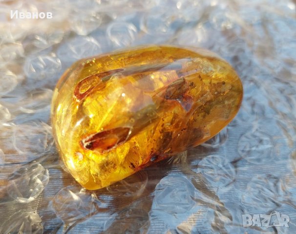 Балтийски кехлибар с отлично съхранени фосили , снимка 9 - Други - 33665443