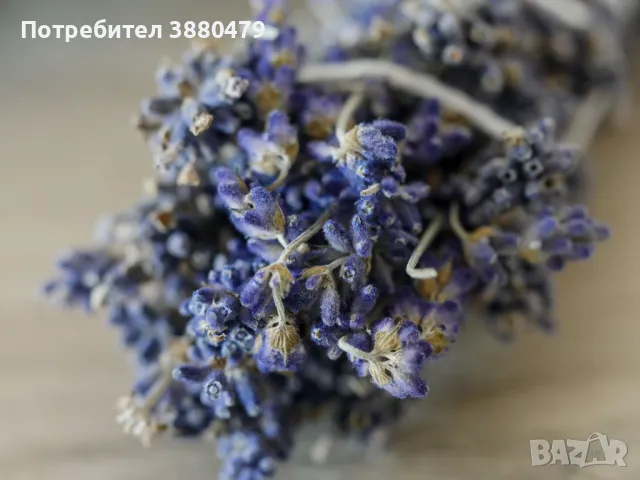 снопче за кадене с лавандула, снимка 1