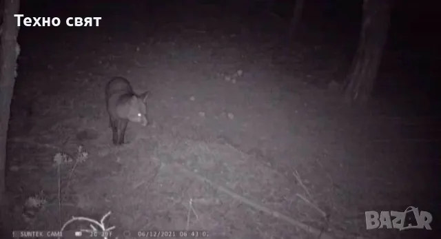 Ловна видео камера 2G/3G/4G,качествена батерия сим карта+карта памет, снимка 4 - IP камери - 48918378