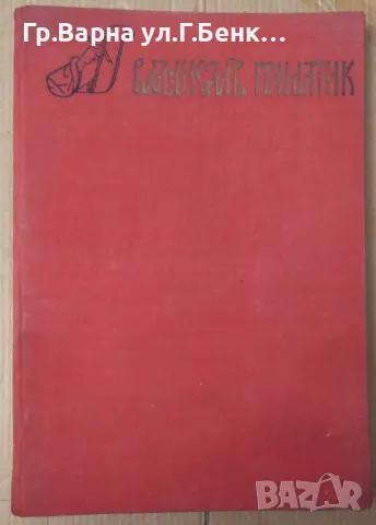 Владислав Граматик Книжовник и писател  Георги Данчев 14лв
