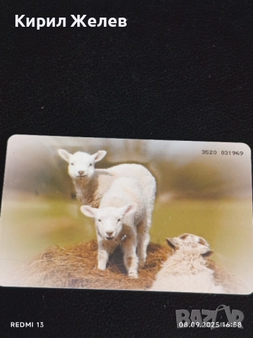 Три фонокарти МОБИКА, БУЛ ФОН, БЕТКОМ тема ЗАЩИТА на ЖИВОТНИТЕ 43447, снимка 5 - Колекции - 51644019