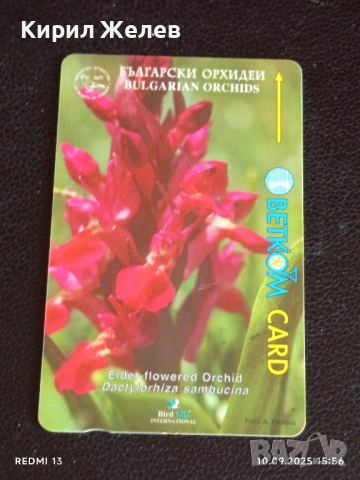 ДВЕ ФОНОКАРТИ БЕТКОМ,БТК тема ДЯВОЛСКИ МОСТ, ОРХИДЕИ за КОЛЕКЦИЯ 30646, снимка 6 - Колекции - 51667751