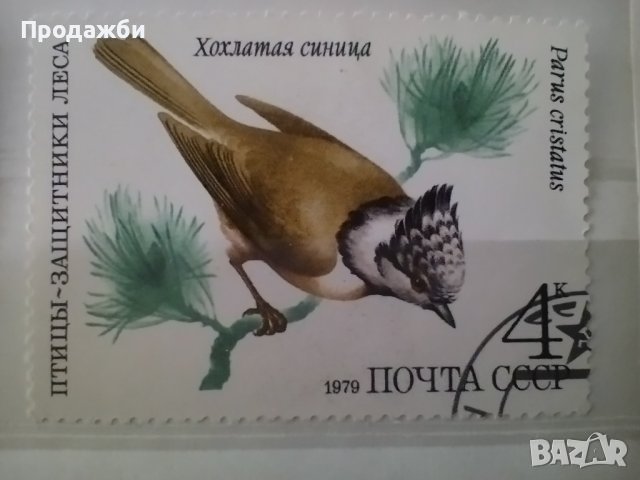 Красива антична колекция пощенски марки с птици от 1979 г., снимка 3 - Филателия - 43415035
