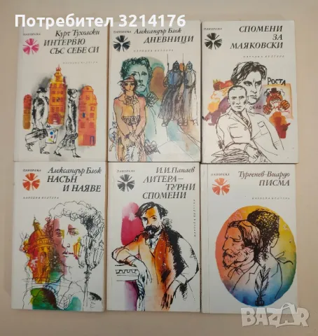 Кафе със салата - Бранислав Нушич, снимка 4 - Специализирана литература - 47867569