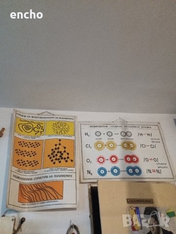 Ботанически растения плакати , снимка 12 - Антикварни и старинни предмети - 40667557