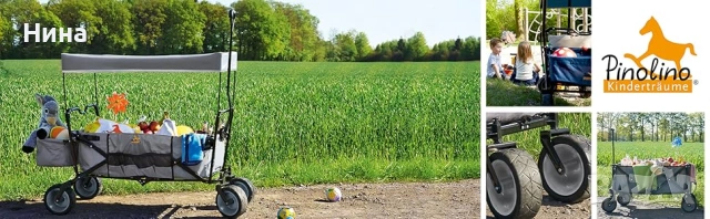 Сгъваема ръчна количка с покрив за къмпинг и плаж Pinolino Paco в сиво, снимка 8 - Детски колички - 53468207