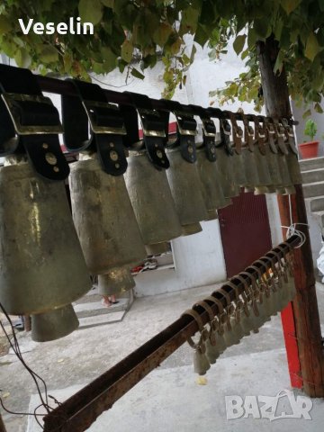 Чанове, със колани и без колани ., снимка 3 - Други животни - 26361728