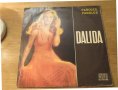 Грамофонна плоча - dalida далида - Paroles, paroles - за ценителите на италианската музика ., снимка 1 - Грамофонни плочи - 38503065