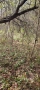 Парцел в регулация с Долни Романци , снимка 6