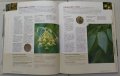 Reader's Digest - Лекарствени растения / Супер салати (Комп. 45 лв.)., снимка 4