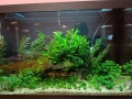 Напълно оборудван и работещ аквариум , снимка 13