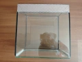 Терариум 30x30x20, снимка 3