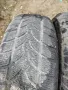 Gumi zimni , снимка 2