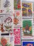 Пощенски марки смесени ЦВЕТЯ от цял свят перфектно състояние за КОЛЕКЦИЯ 22632, снимка 14